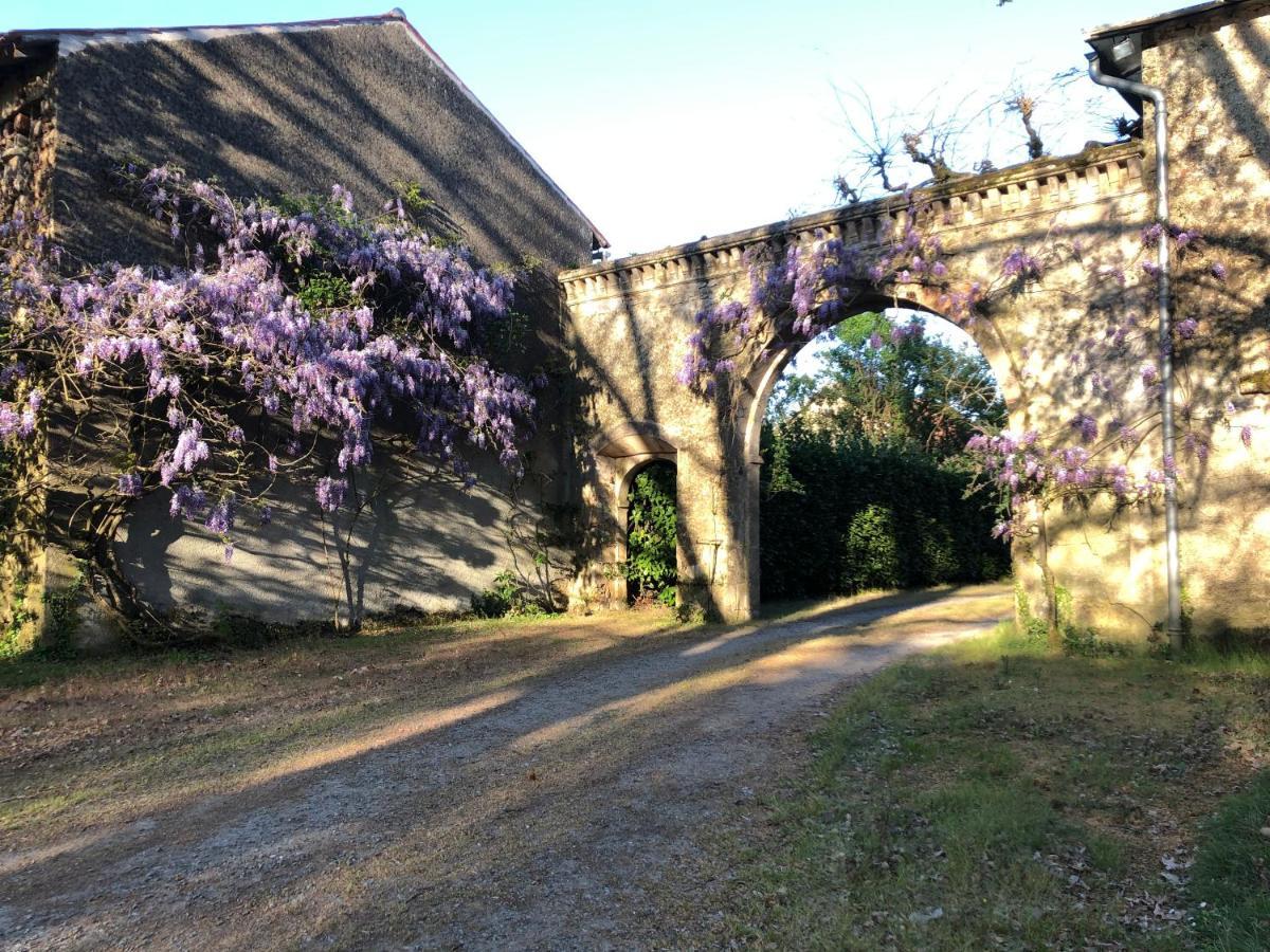 Chateau De La Mothe Saint-Sulpice-en-Pareds Dış mekan fotoğraf