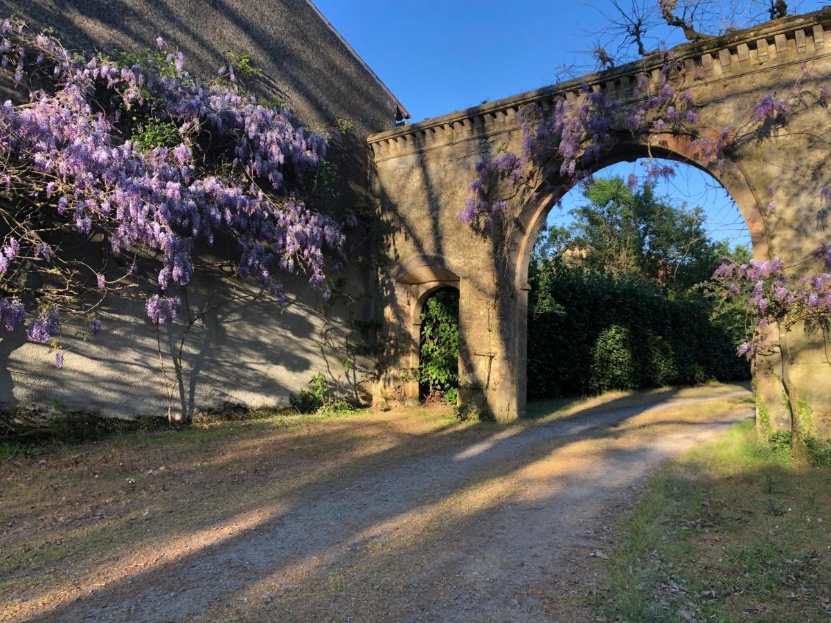 Chateau De La Mothe Saint-Sulpice-en-Pareds Dış mekan fotoğraf