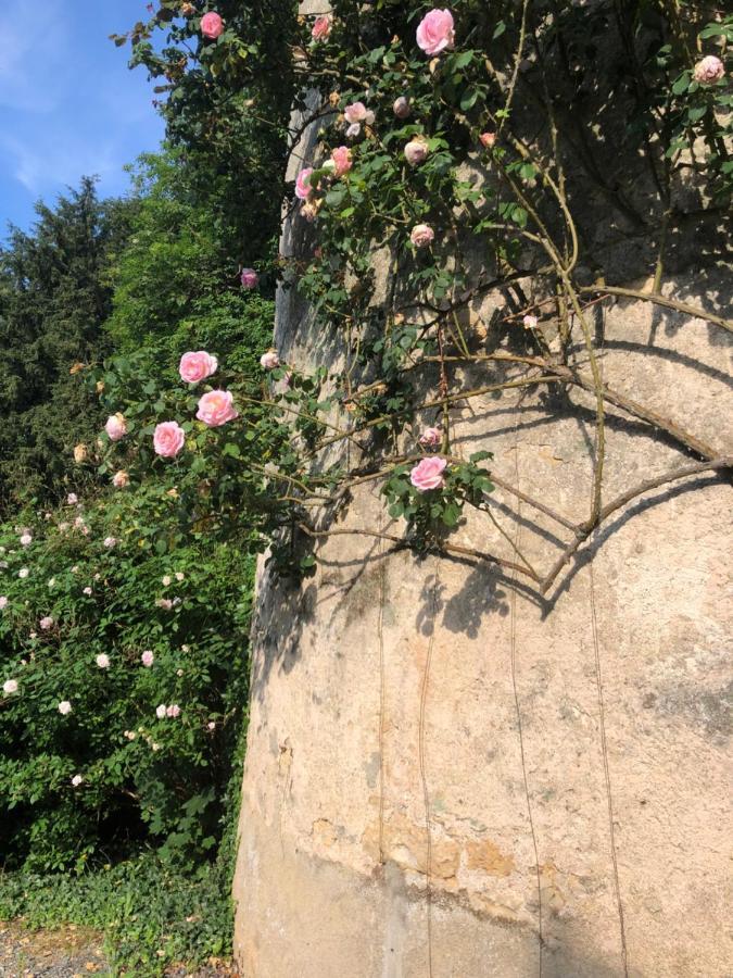 Chateau De La Mothe Saint-Sulpice-en-Pareds Dış mekan fotoğraf